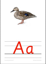 Load image into Gallery viewer, Alfabetpakke 2023 med illustrasjoner av Åshild Førland