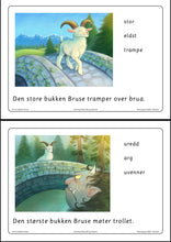 Load image into Gallery viewer, Bukkene Bruse - med tekst