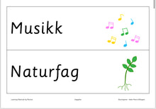 Load image into Gallery viewer, Dagsplan skole