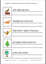 Load image into Gallery viewer, Eg les og skriv setningar 1