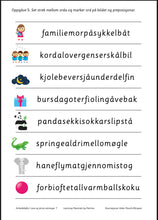 Load image into Gallery viewer, Eg les og skriv setningar 1