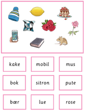 Load image into Gallery viewer, Rosa språkserie - 2021 - Bokmål - (Sassoon Primary)