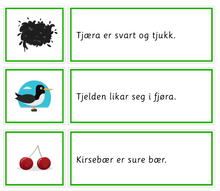 Load image into Gallery viewer, Grønn språkserie (Nynorsk) - Full pakke - Tom Petter