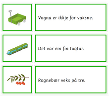 Load image into Gallery viewer, Grønn språkserie (Nynorsk) - Full pakke - Tom Petter