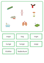 Load image into Gallery viewer, Grønn språkserie (Nynorsk) Minipakke - Kort u og o -lyd - Tom Petter