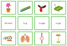 Load image into Gallery viewer, Grønn språkserie (Bokmål) - Full pakke - Tom Petter