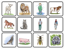 Load image into Gallery viewer, Ordklasser og setninger - Åshild Førland