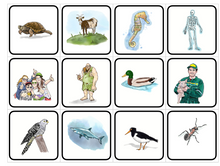 Load image into Gallery viewer, Ordklasser og setninger - Åshild Førland