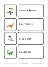 Load image into Gallery viewer, Lesetrening - bildekort og enkle setninger - nynorsk