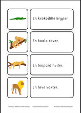 Load image into Gallery viewer, Lesetrening - bildekort og enkle setninger - nynorsk
