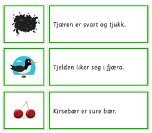 Last inn bildet i Galleri-visningsprogrammet, Grønn språkserie (Bokmål) Minipakke - ky og sj -lyd - Tom Petter
