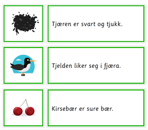 Grønn språkserie (Bokmål) Minipakke - ky og sj -lyd - Tom Petter