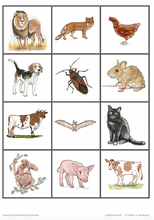 Load image into Gallery viewer, Leseforståelse - 12 bilder + setninger
