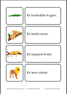 Lesetrening - bildekort og enkle setninger - nynorsk